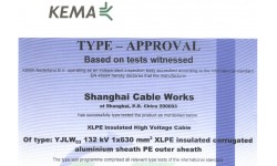 KEMAYJLW03 132KVMM2交聯(lián)聚乙烯絕緣電力電纜試驗(yàn)報(bào)告